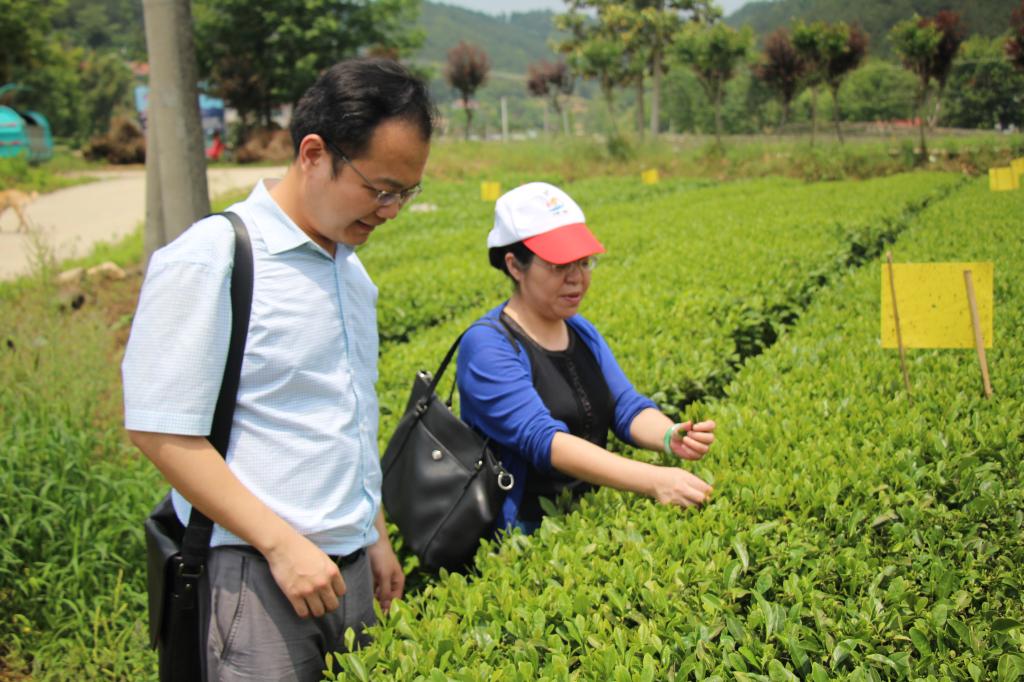 教师进农户，理论下基层——beat365平台官方网站全体党员教师赴英山县乌云山村学习调研